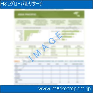 市場と産業調査レポートのイメージ